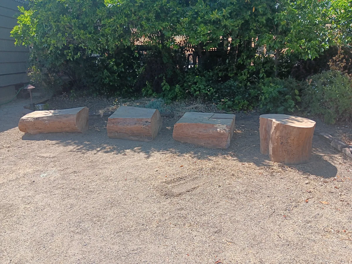 Wooden seating crafted with a chainsaw from a failed elm tree
